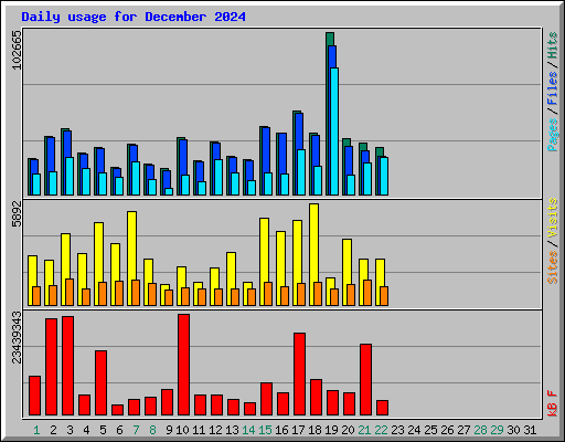 Daily usage for December 2024