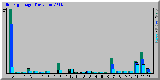 Hourly usage for June 2013