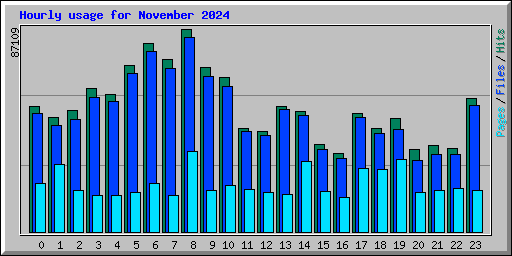 Hourly usage for November 2024