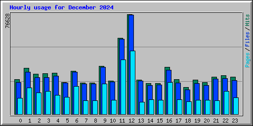 Hourly usage for December 2024