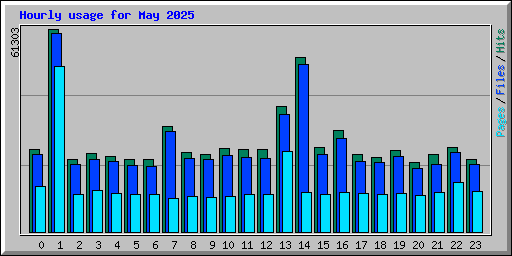 Hourly usage for May 2025