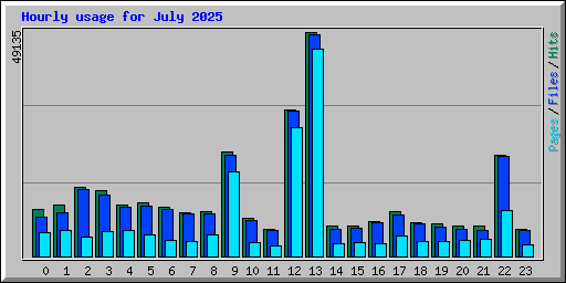 Hourly usage for July 2025