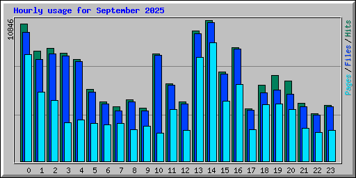 Hourly usage for September 2025