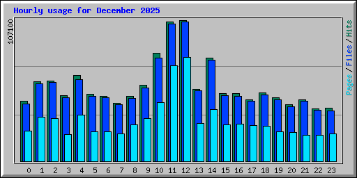 Hourly usage for December 2025
