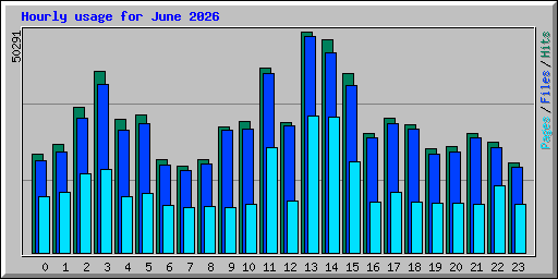 Hourly usage for June 2026
