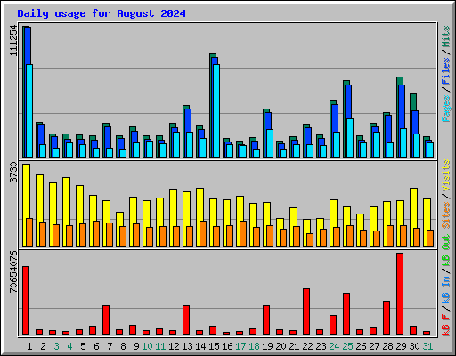 Daily usage for August 2024