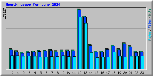 Hourly usage for June 2024