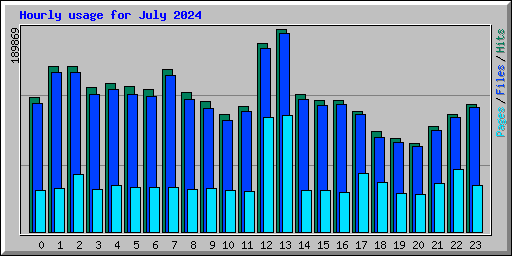 Hourly usage for July 2024