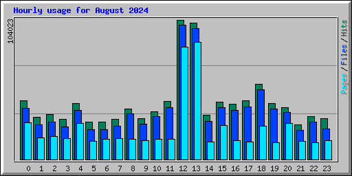 Hourly usage for August 2024